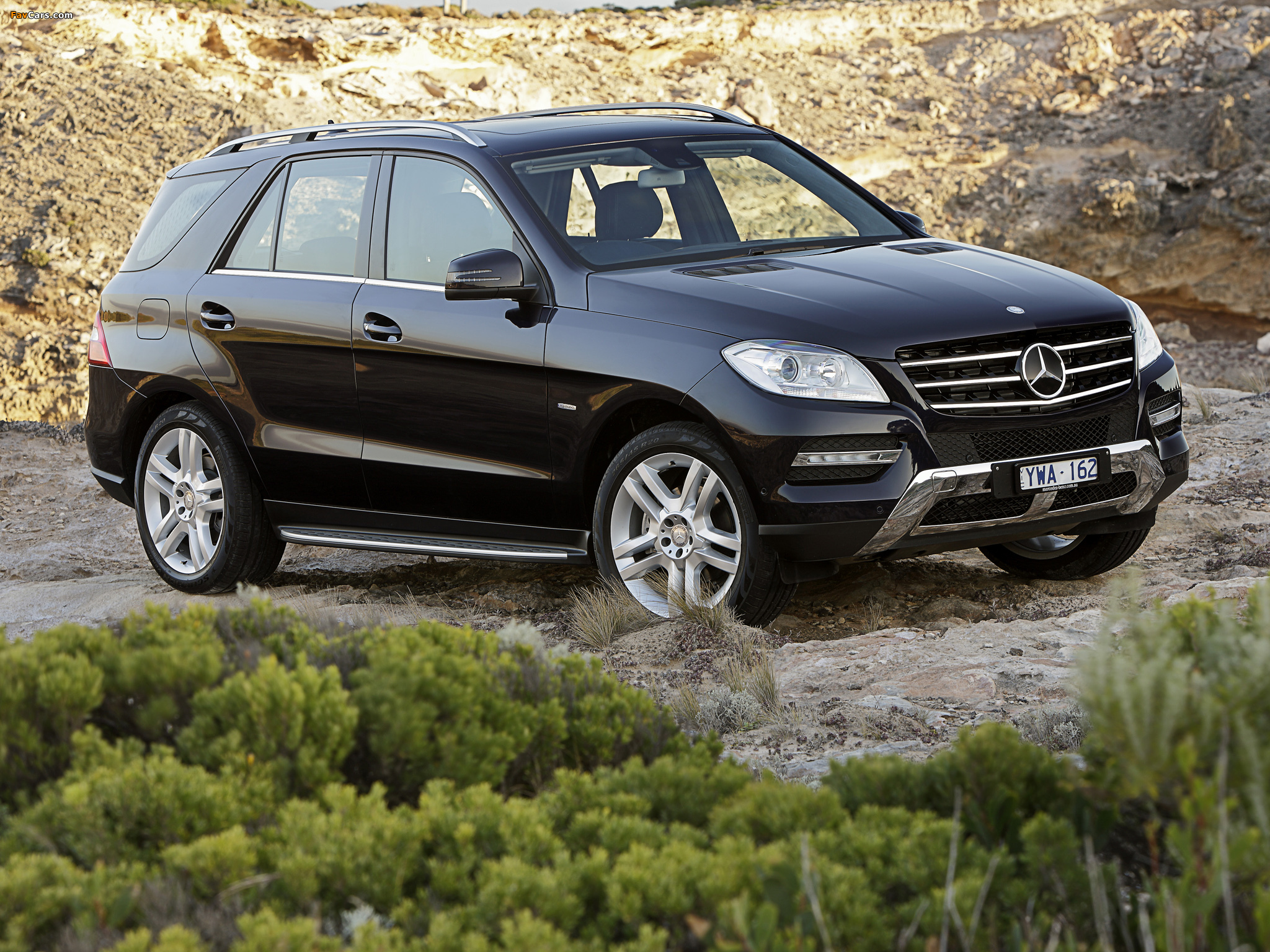 Pictures of Mercedes-Benz ML 250 BlueTec AU-spec (W166) 2011 (2048 x 1536)