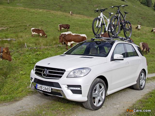 Pictures of Mercedes-Benz ML 250 BlueTec AMG Sports Package (W166) 2011 (640 x 480)