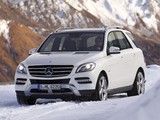 Mercedes-Benz ML 350 BlueTec (W166) 2011 wallpapers