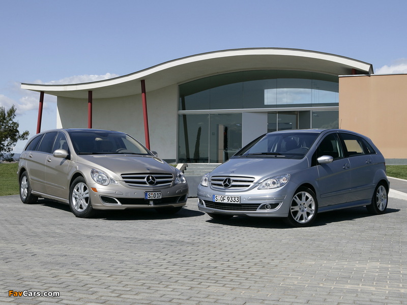 Pictures of Mercedes-Benz (800 x 600)