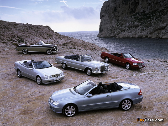 Pictures of Mercedes-Benz (640 x 480)