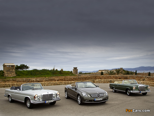 Pictures of Mercedes-Benz (640 x 480)