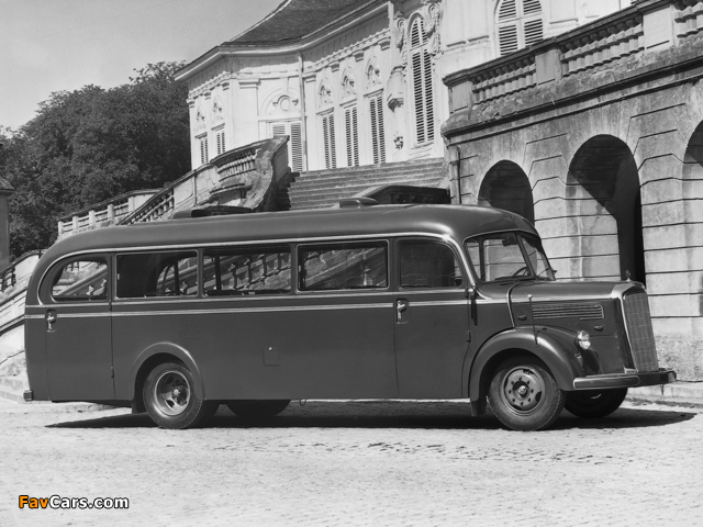 Images of Mercedes-Benz O3250 1949 (640 x 480)