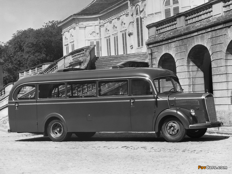 Images of Mercedes-Benz O3250 1949 (800 x 600)