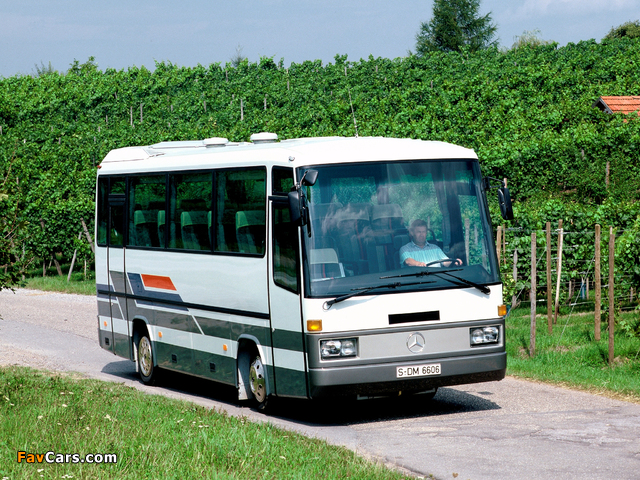 Images of Mercedes-Benz O 301 1986–87 (640 x 480)