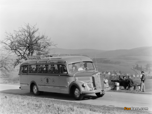 Mercedes-Benz O3500 1949–55 photos (640 x 480)