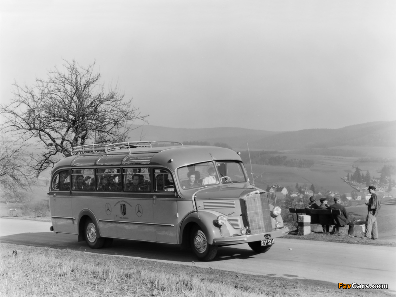 Mercedes-Benz O3500 1949–55 photos (800 x 600)