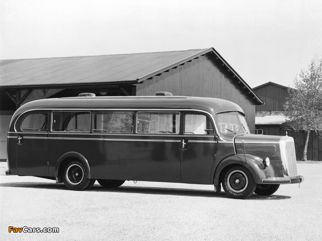 Mercedes-Benz O3250 1949 pictures (640 x 480)