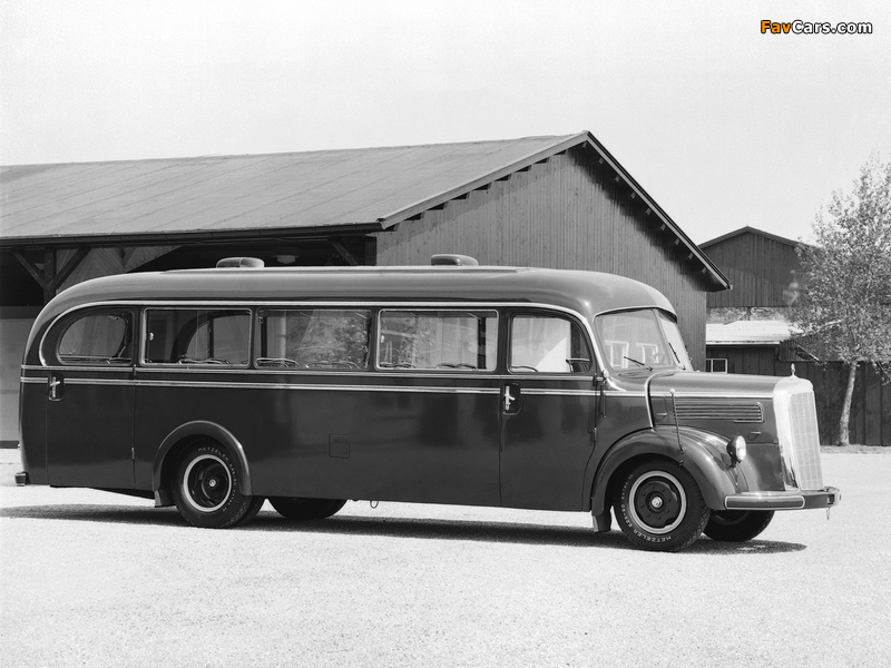 Mercedes-Benz O3250 1949 pictures (800 x 600)