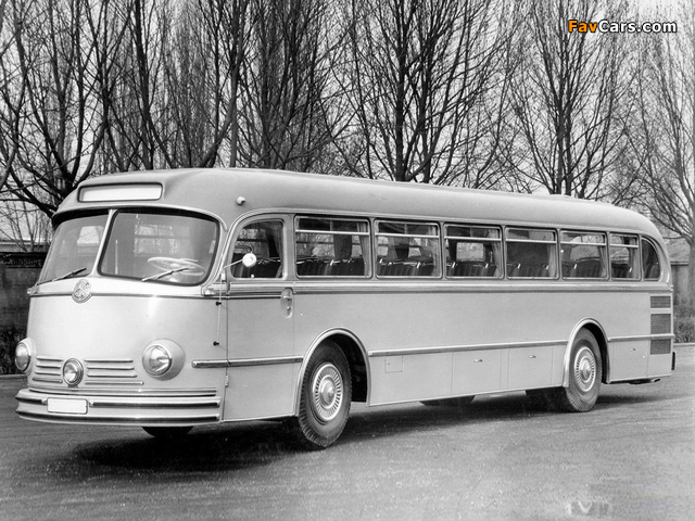 Mercedes-Benz O6600 H 1951–61 images (640 x 480)