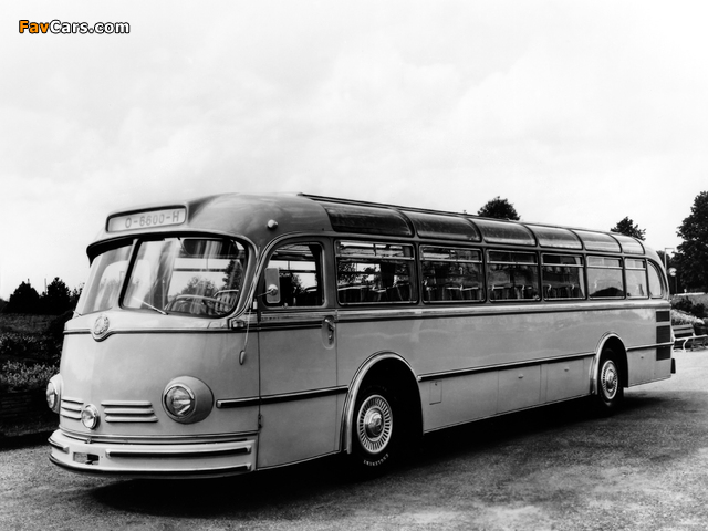 Mercedes-Benz O6600 H 1951–61 pictures (640 x 480)