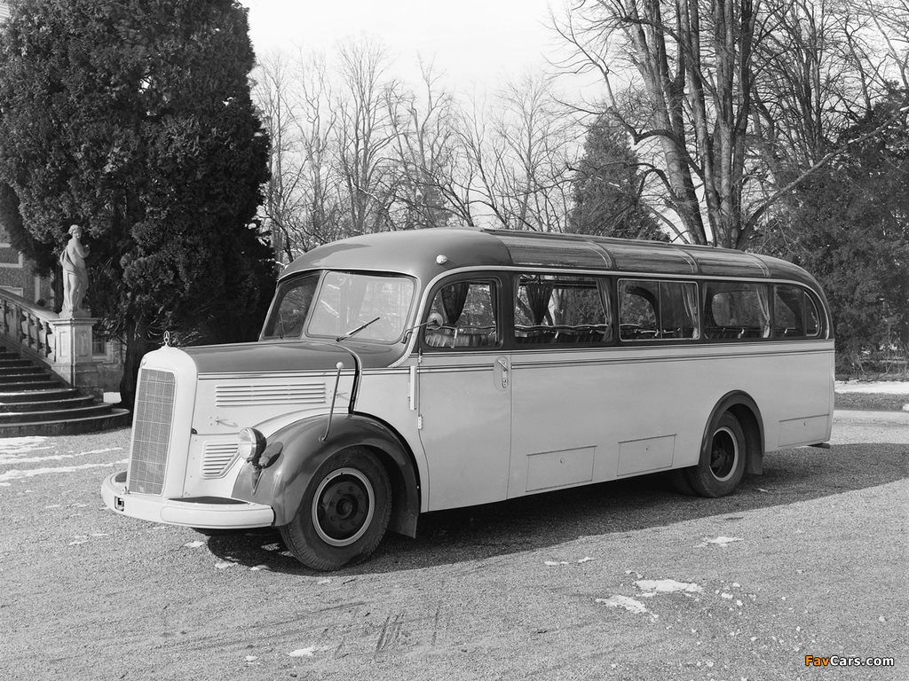 Photos of Mercedes-Benz O3500 1949–55 (1024 x 768)