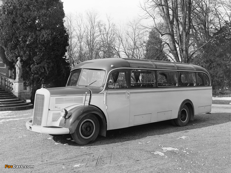 Photos of Mercedes-Benz O3500 1949–55 (800 x 600)