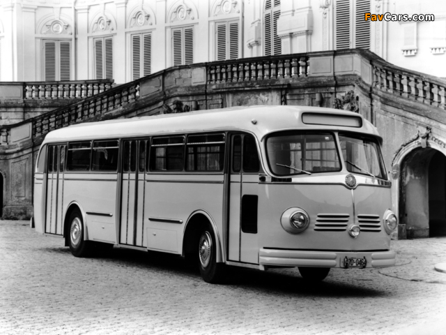 Photos of Mercedes-Benz O6600 H 1951–61 (640 x 480)