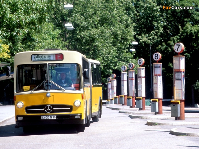 Pictures of Mercedes-Benz O317 G 1968 (640 x 480)