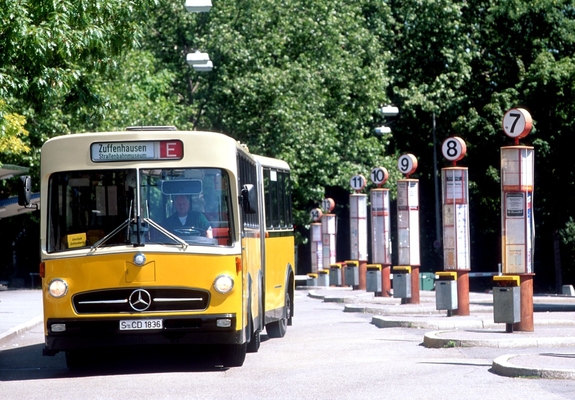 Pictures of Mercedes-Benz O317 G 1968