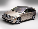 Mercedes-Benz R 500 US-spec (W251) 2005–10 pictures