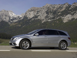 Mercedes-Benz R 500 (W251) 2005–10 wallpapers
