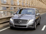 Mercedes-Benz R 500 4MATIC (W251) 2010 photos