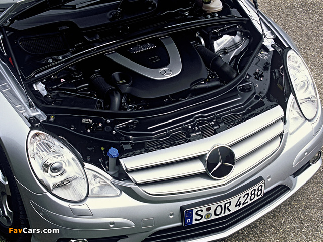 Photos of Mercedes-Benz R 500 (W251) 2005–10 (640 x 480)