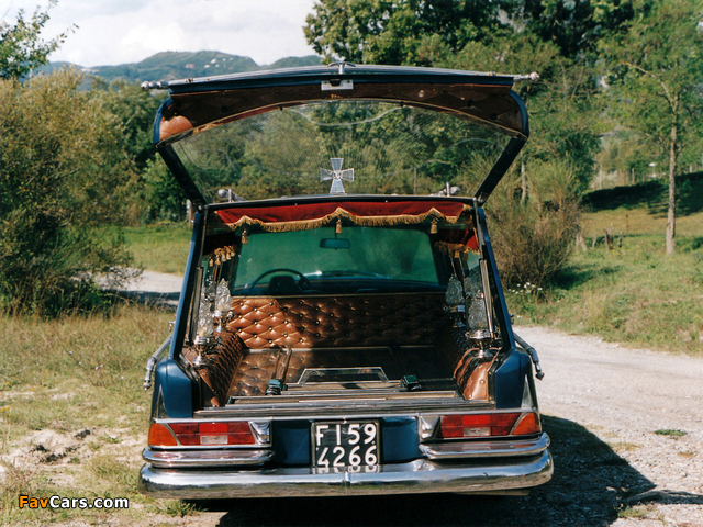 Images of Mercedes-Benz 220 SE Leichenwagen (W111) 1964 (640 x 480)