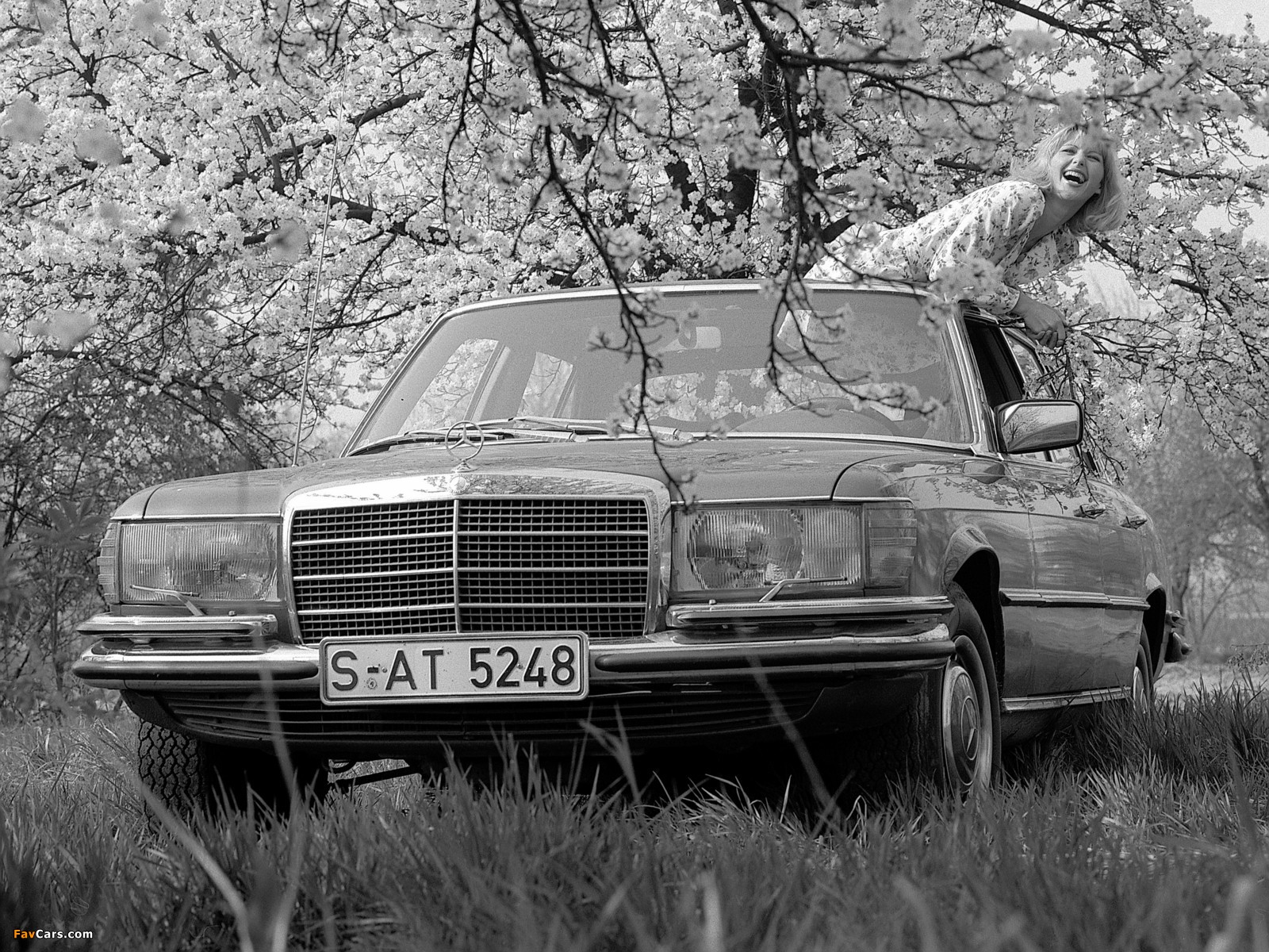 Mercedes-Benz 450 SEL 6.9 (W116) 1975–80 images (1600 x 1200)