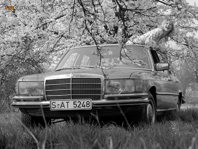 Mercedes-Benz 450 SEL 6.9 (W116) 1975–80 images (640 x 480)