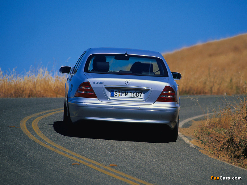 Mercedes-Benz S 320 (W220) 1998–2002 photos (800 x 600)