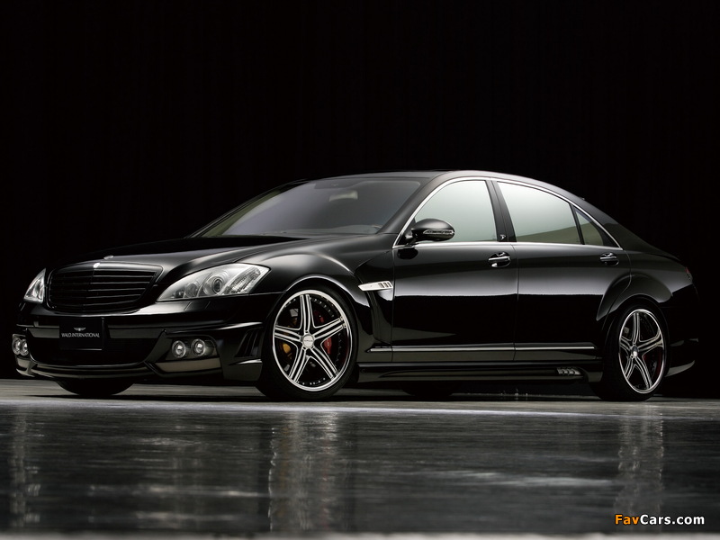 WALD Black Bison Edition Sports Line (W221) 2005–09 pictures (800 x 600)