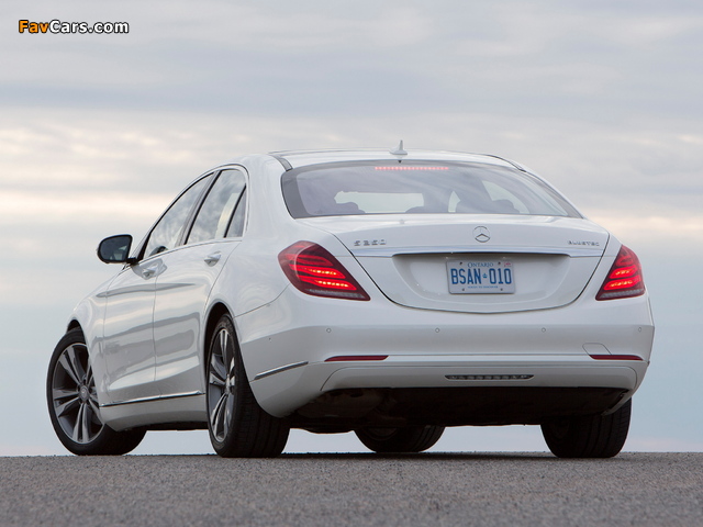 Mercedes-Benz S 350 BlueTec (W222) 2013 pictures (640 x 480)