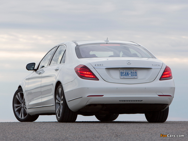 Mercedes-Benz S 350 BlueTec (W222) 2013 pictures (800 x 600)