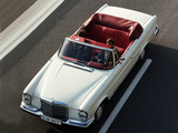 Mercedes-Benz S-Klasse Cabriolet (W111/112) images