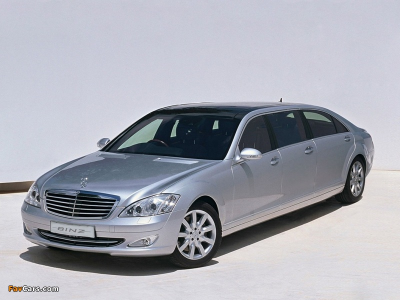 Pictures of Binz S-Klasse Luxury Limousine (W221) 2006–09 (800 x 600)
