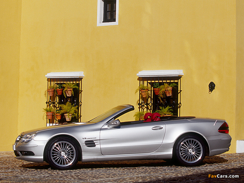 Images of Mercedes-Benz SL 55 AMG (R230) 2001–08 (800 x 600)
