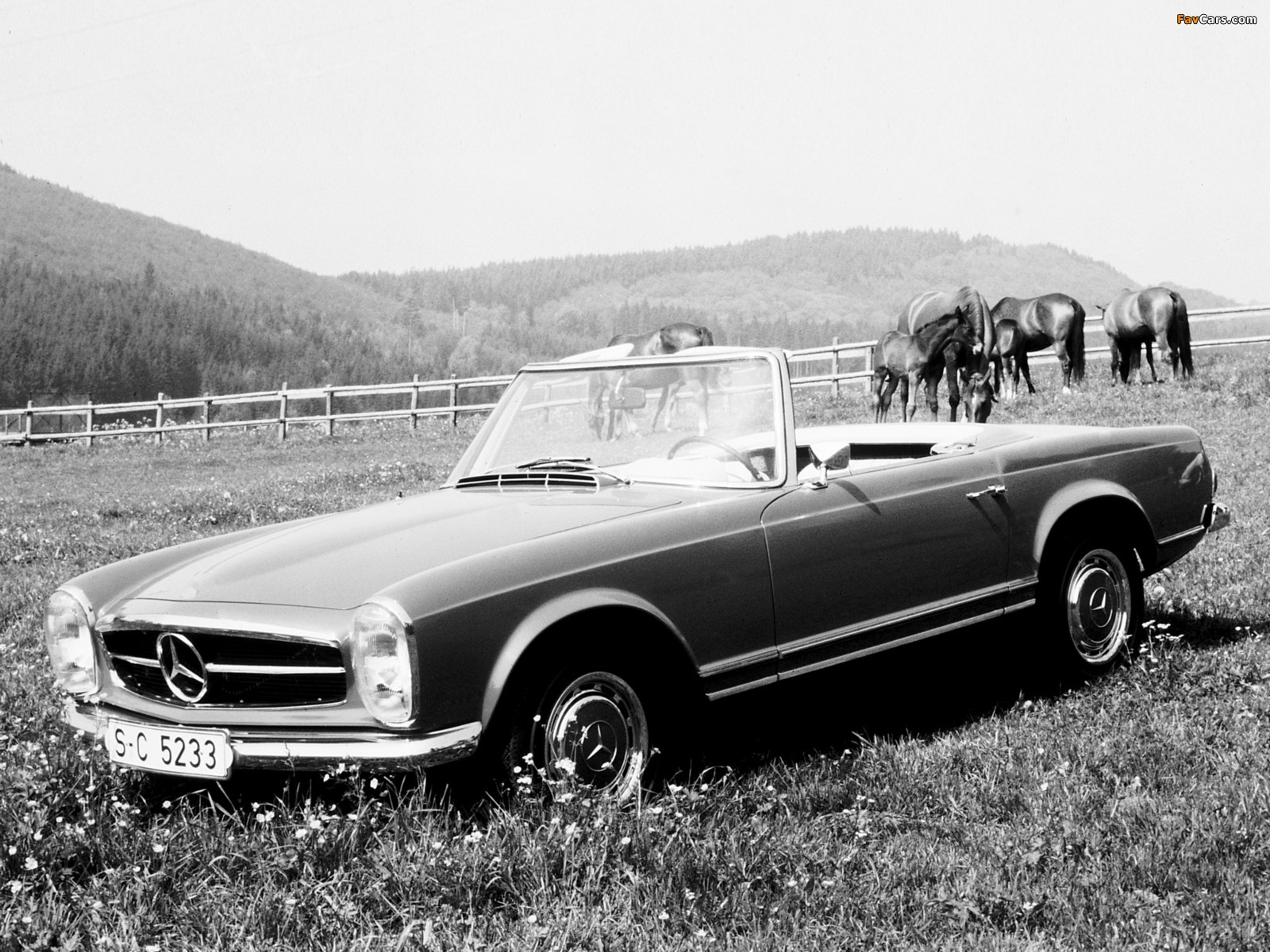 Mercedes-Benz 250 SL (W113) 1966–68 images (1600 x 1200)