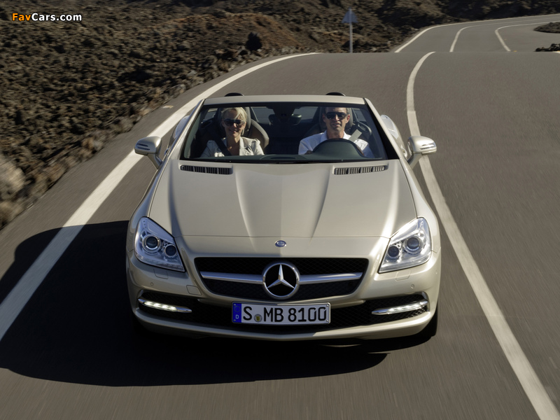 Images of Mercedes-Benz SLK 350 (R172) 2011 (800 x 600)