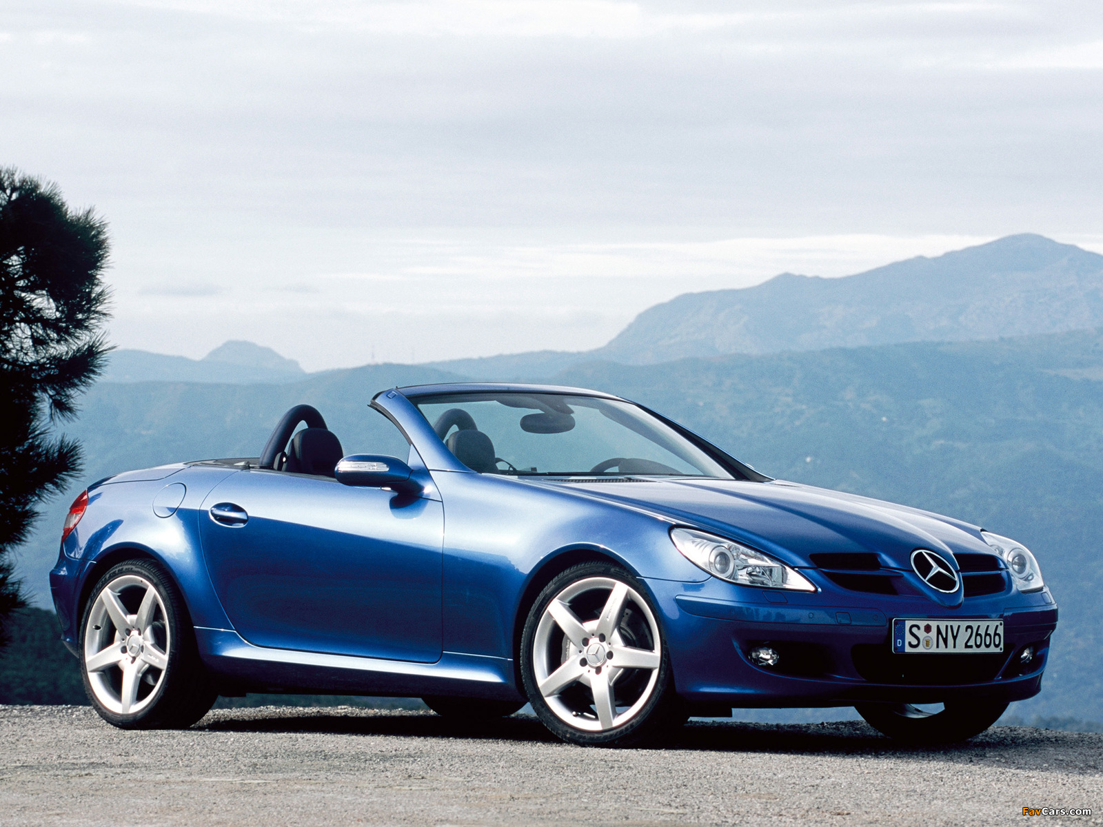 Mercedes-Benz SLK 350 (R171) 2004–07 photos (1600 x 1200)