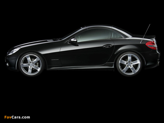 Lorinser SLK 05 (R171) 2004–08 photos (640 x 480)