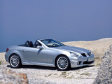 Mercedes-Benz SLK 55 AMG (R171) 2004–08 photos