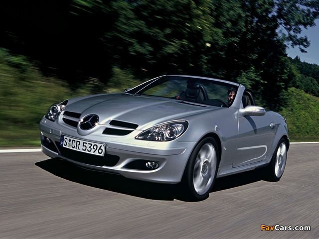 Mercedes-Benz SLK 200 Kompressor (R171) 2004–07 photos (640 x 480)