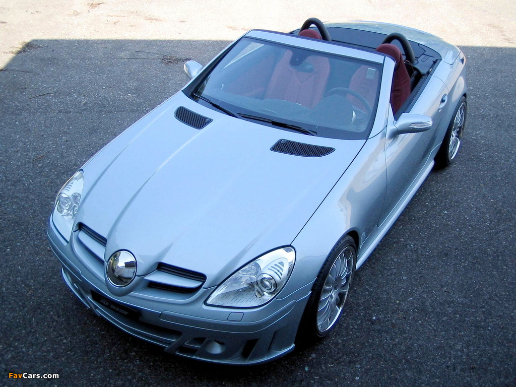 FAB Design Mercedes-Benz SLK-Klasse (R171) 2004–08 photos (1024 x 768)