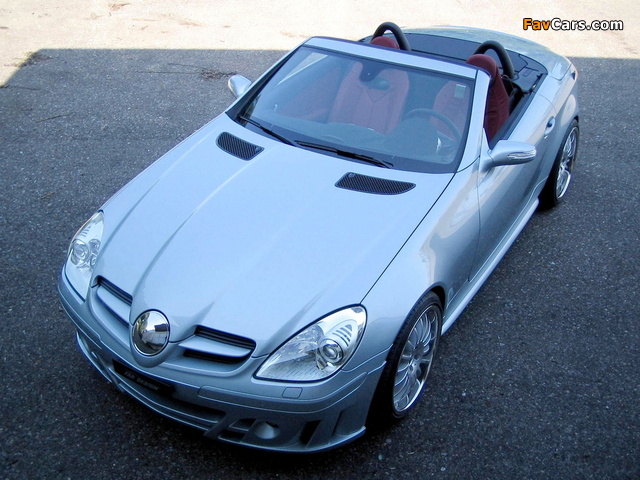 FAB Design Mercedes-Benz SLK-Klasse (R171) 2004–08 photos (640 x 480)