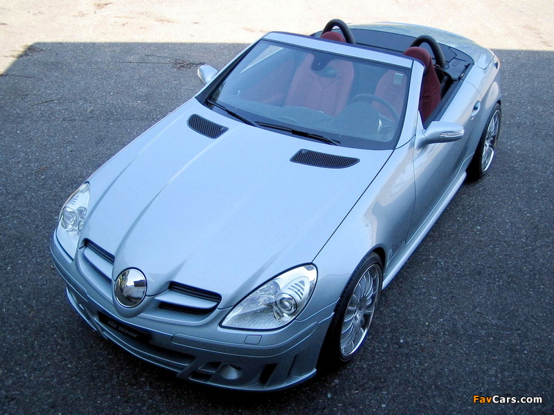 FAB Design Mercedes-Benz SLK-Klasse (R171) 2004–08 photos (800 x 600)