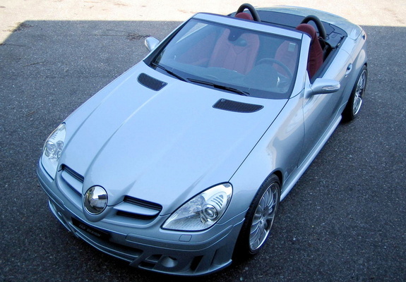 FAB Design Mercedes-Benz SLK-Klasse (R171) 2004–08 photos