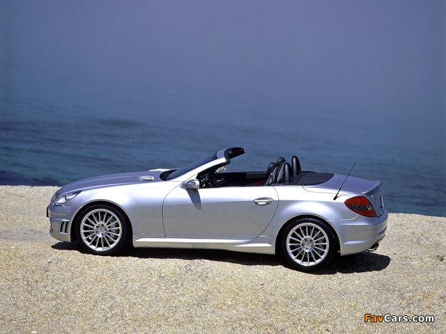 Mercedes-Benz SLK 55 AMG (R171) 2004–08 pictures (640 x 480)