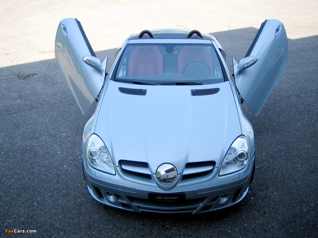 FAB Design Mercedes-Benz SLK-Klasse (R171) 2004–08 pictures (1024 x 768)