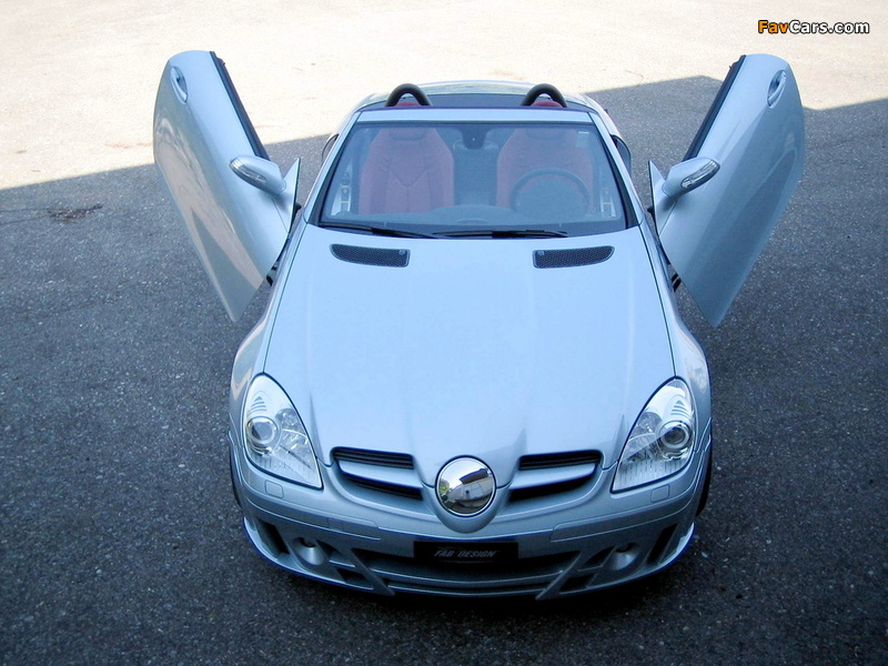 FAB Design Mercedes-Benz SLK-Klasse (R171) 2004–08 pictures (800 x 600)