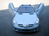 FAB Design Mercedes-Benz SLK-Klasse (R171) 2004–08 pictures