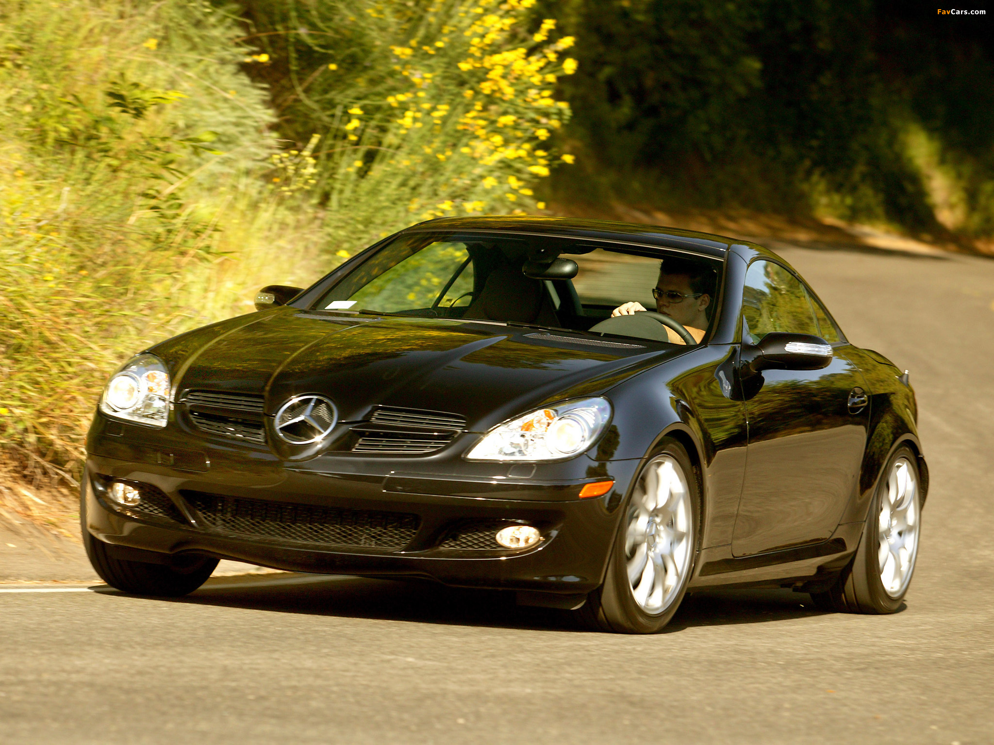 Mercedes-Benz SLK 350 US-spec (R171) 2004–07 pictures (2048 x 1536)