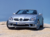 Mercedes-Benz SLK 55 AMG (R171) 2004–08 wallpapers